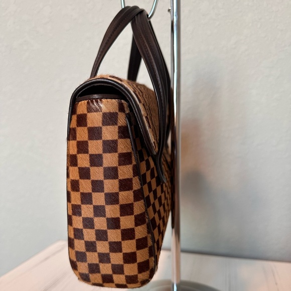 SOLD Louis Vuitton Lionne Damier Sauvage Handbag - Picture 4 of 13